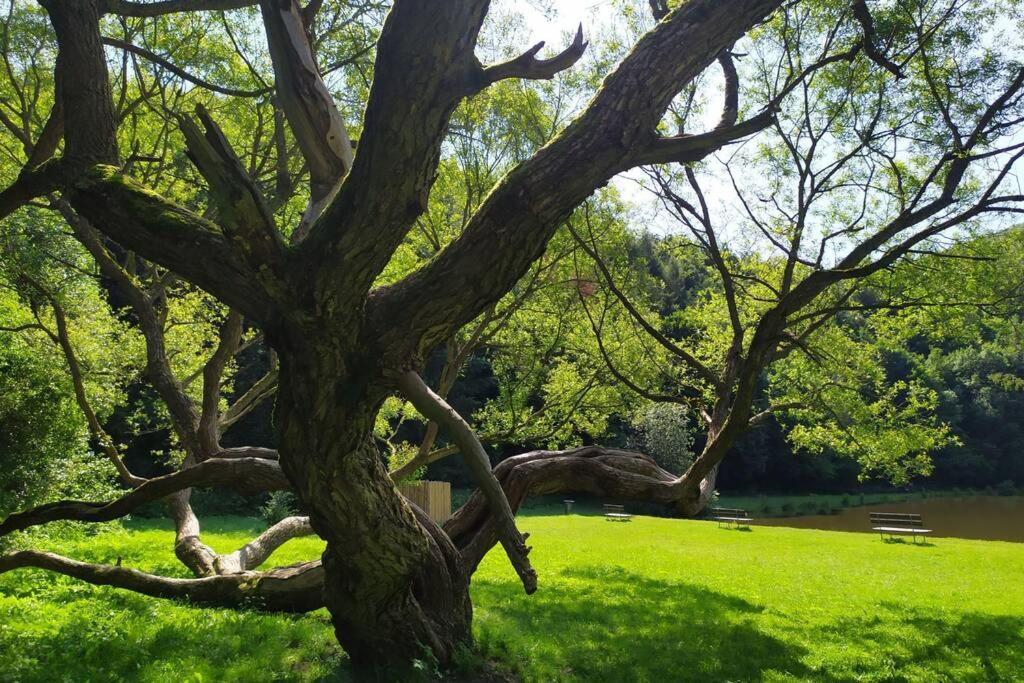 Vila Maringotka Na Jamajce Šternberk Exteriér fotografie